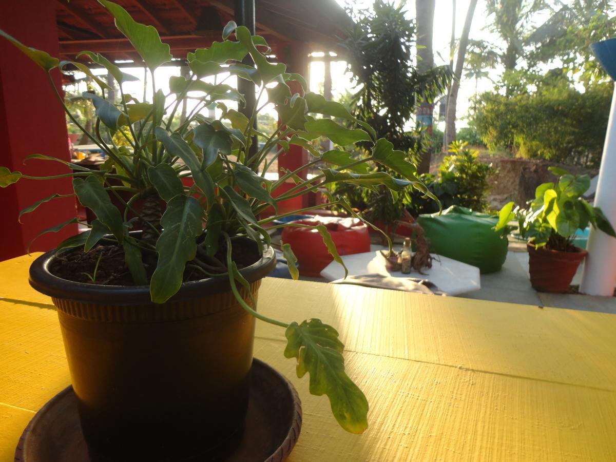 The Yuppi Hippi Female Hostel Anjuna Ngoại thất bức ảnh